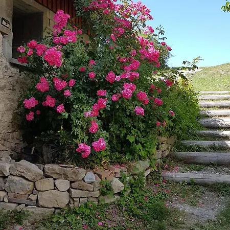 Duplex 80M2 With Amazing View On A Quiet Place Montclar (Alpes-de-Haute-Provence)